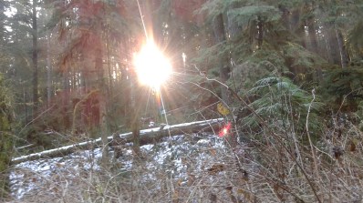 Shellburg sun peaking