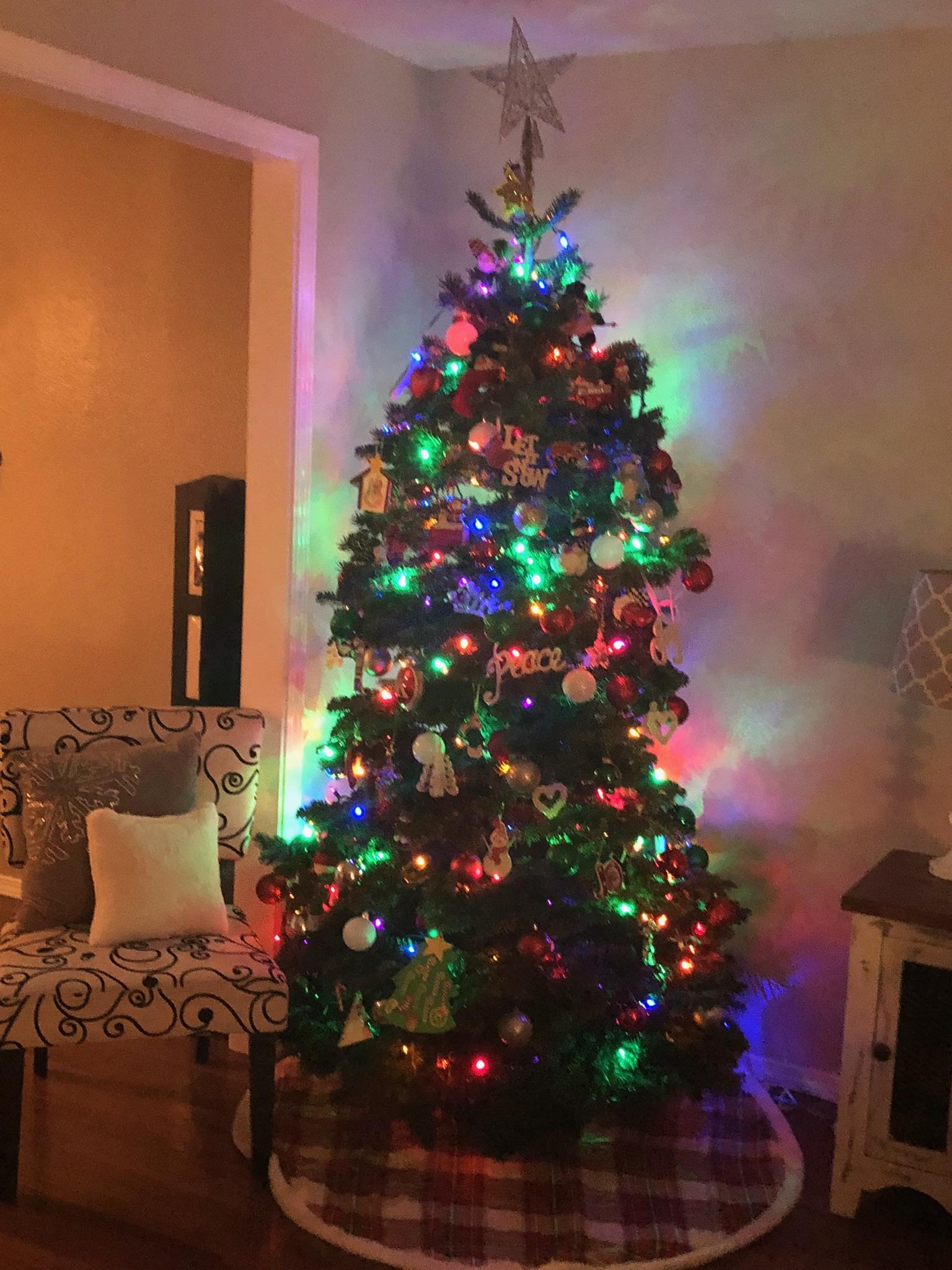 Tree 2017